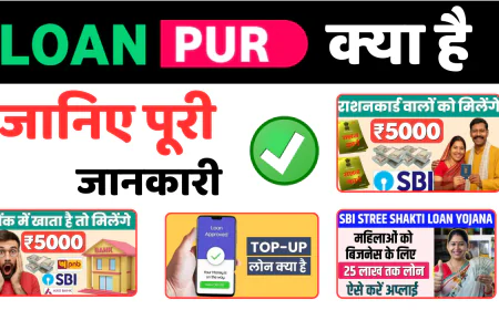 Loanpur.net क्या है  जानिए पूरी जानकारी