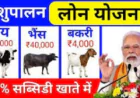 शुपालन लोन योजना 2026: किसानों और ग्रामीण युवाओं के लिए आसान लोन, सब्सिडी और आर्थिक सशक्तिकरण