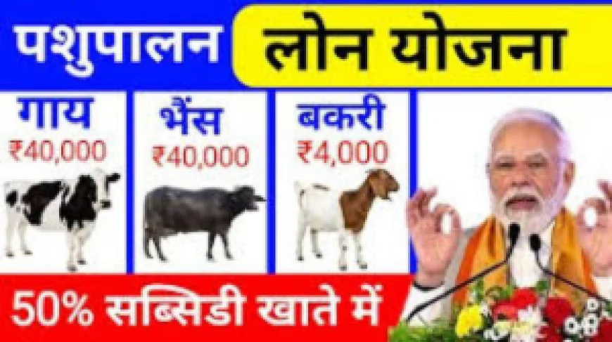 शुपालन लोन योजना 2026: किसानों और ग्रामीण युवाओं के लिए आसान लोन, सब्सिडी और आर्थिक सशक्तिकरण