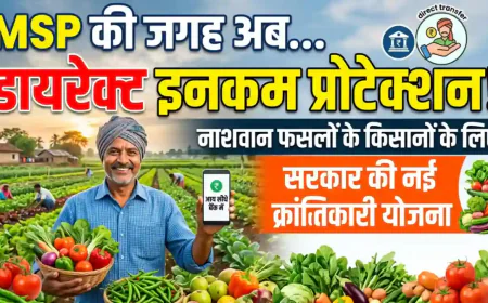 MSP की जगह डायरेक्ट इनकम प्रोटेक्शन: नाशवान फसलों के किसानों के लिए PM-AASHA की क्रांतिकारी राहत