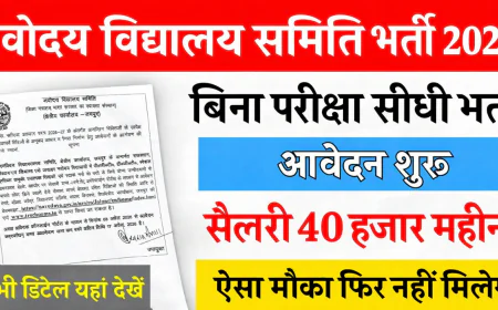 नवोदय विद्यालय भर्ती 2026: PGT-TGT सहित 208 पदों पर अनुबंधित शिक्षक भर्ती शुरू, 17 अप्रैल तक आवेदन करें